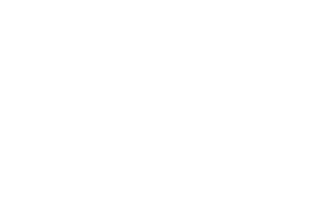 Megalodon Marketing  - Jeremy Haynes